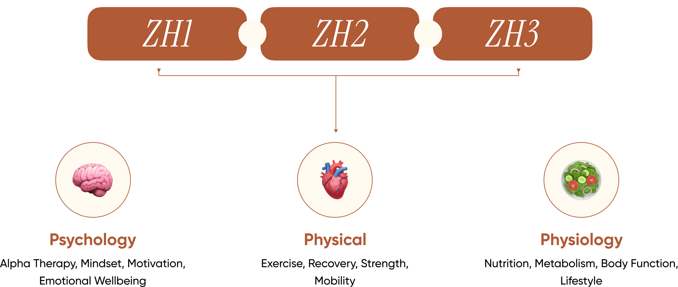 Zhoosh Bottom Graphic
